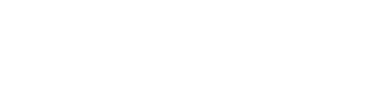 finez logo